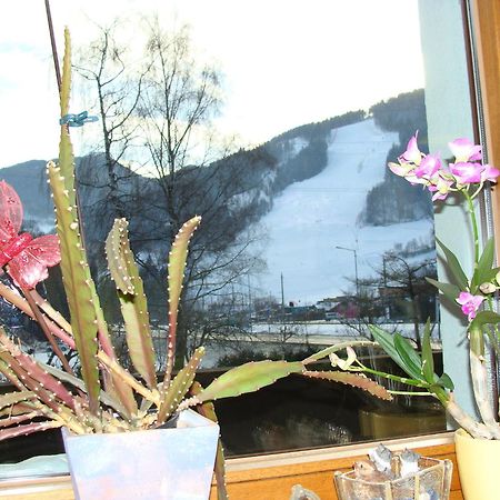 Appartement-Reiteralm سخلادميخ المظهر الخارجي الصورة